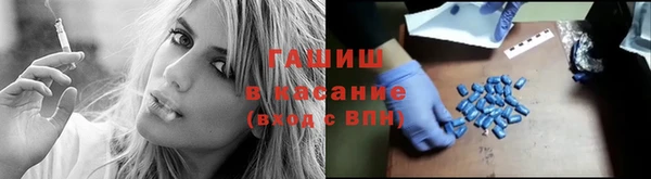 тгк Пересвет