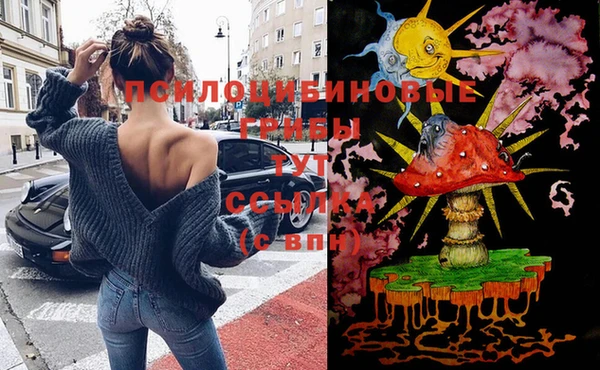 тгк Пересвет